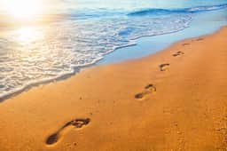 Private Home with Breathtaking Ocean Views - walk to Beaches, Restaurants